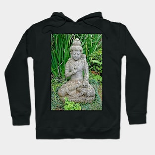 Lavender Farms Study 15 Hoodie